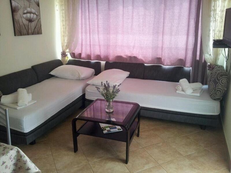 Apartments&rooms Jelavic * Seget Vranjica